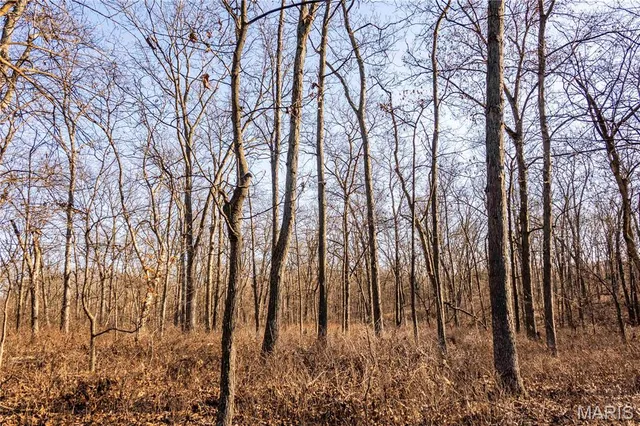 $1 | 0 Pike 49, Frankford, MO 63441