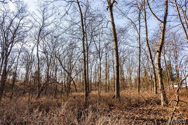 $1 | 0 Pike 49, Frankford, MO 63441