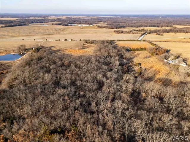 $1 | 0 Pike 49, Frankford, MO 63441