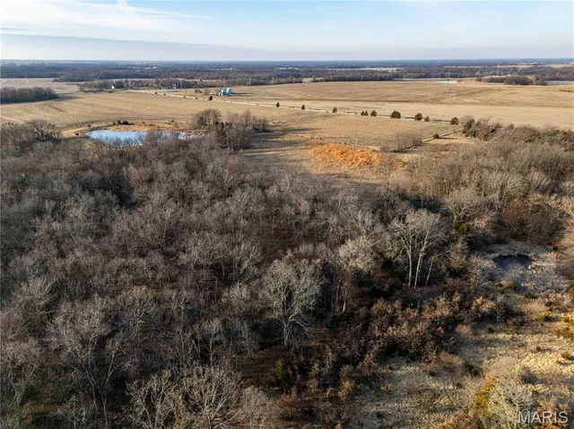 $1 | 0 Pike 49, Frankford, MO 63441