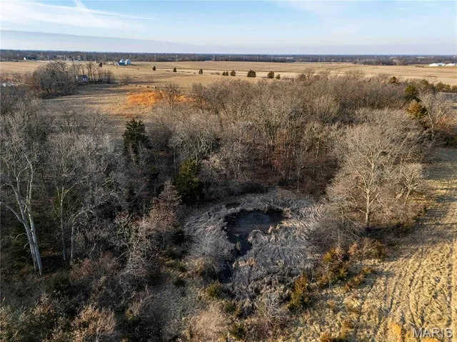 $1 | 0 Pike 49, Frankford, MO 63441