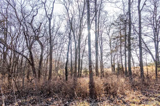 $1 | 0 Pike 49, Frankford, MO 63441