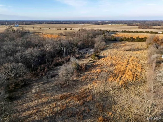 $1 | 0 Pike 49, Frankford, MO 63441