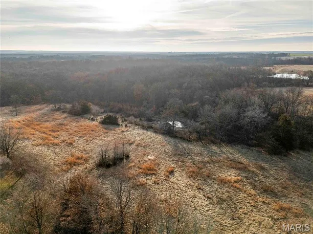 $1 | 0 Pike 49, Frankford, MO 63441