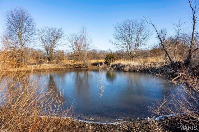 $1 | 0 Pike 49, Frankford, MO 63441