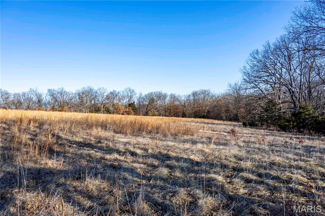 $1 | 0 Pike 49, Frankford, MO 63441