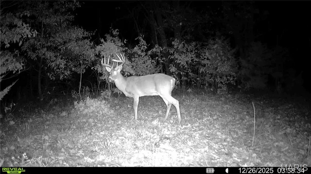 $1 | 0 Pike 49, Frankford, MO 63441