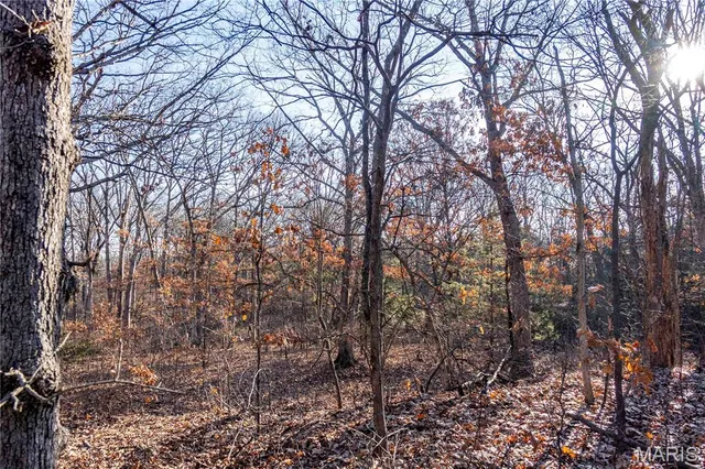 $1 | 0 Pike 49, Frankford, MO 63441