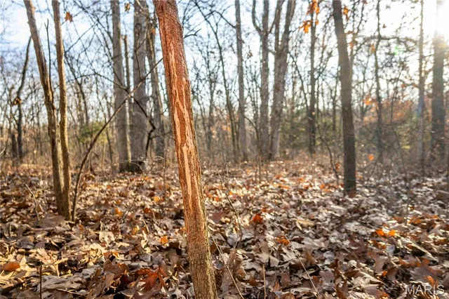 $1 | 0 Pike 49, Frankford, MO 63441