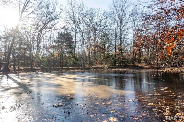 $1 | 0 Pike 49, Frankford, MO 63441