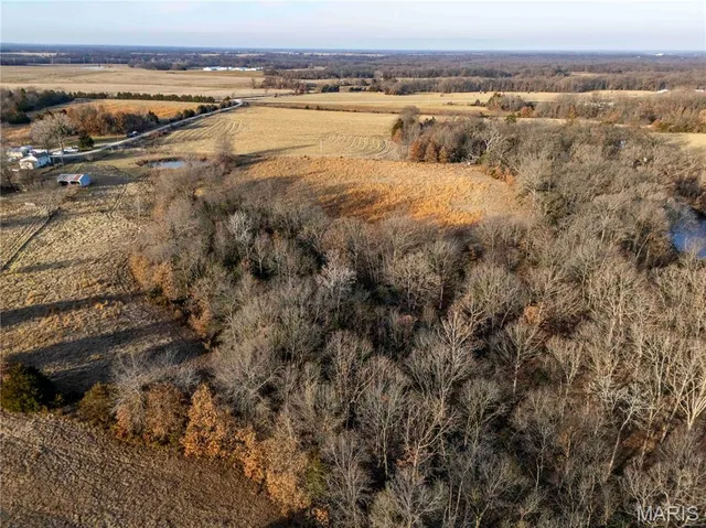 $1 | 0 Pike 49, Frankford, MO 63441