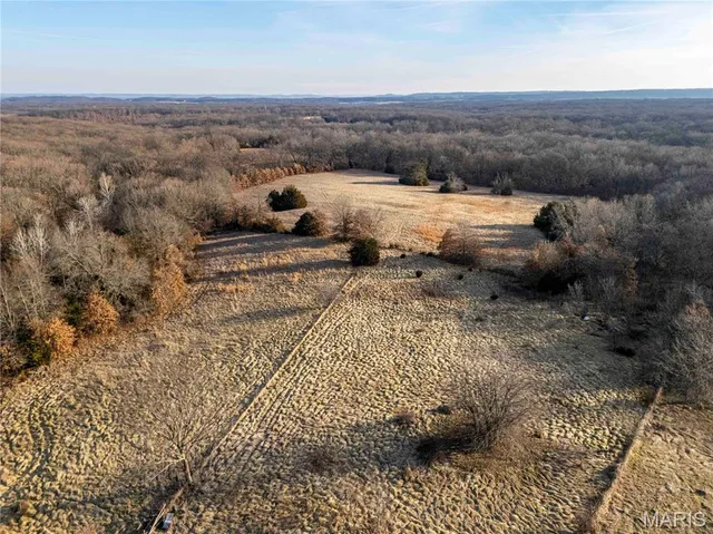 $1 | 0 Pike 49, Frankford, MO 63441