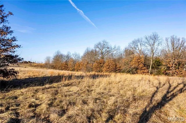 $1 | 0 Pike 49, Frankford, MO 63441