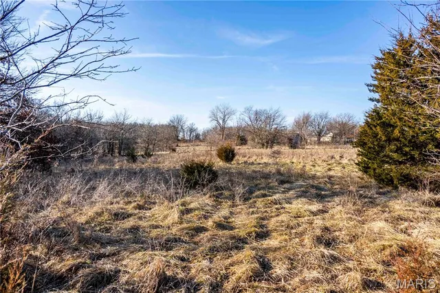 $1 | 0 Pike 49, Frankford, MO 63441