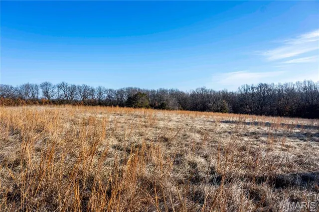 $1 | 0 Pike 49, Frankford, MO 63441