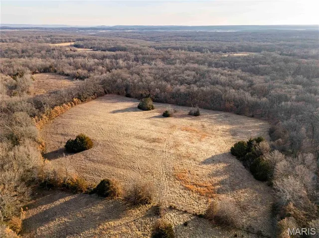 $1 | 0 Pike 49, Frankford, MO 63441