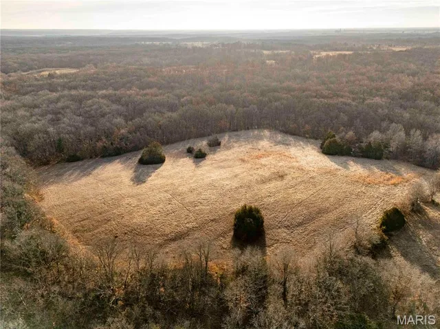 $1 | 0 Pike 49, Frankford, MO 63441