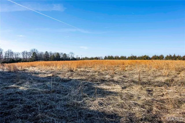 $1 | 0 Pike 49, Frankford, MO 63441