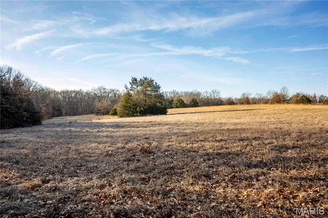 $1 | 0 Pike 49, Frankford, MO 63441