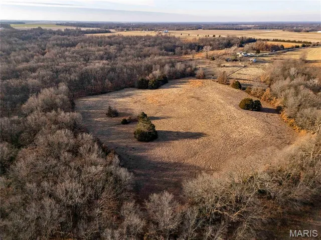 $1 | 0 Pike 49, Frankford, MO 63441