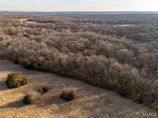 $1 | 0 Pike 49, Frankford, MO 63441