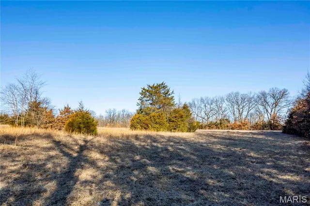 $1 | 0 Pike 49, Frankford, MO 63441