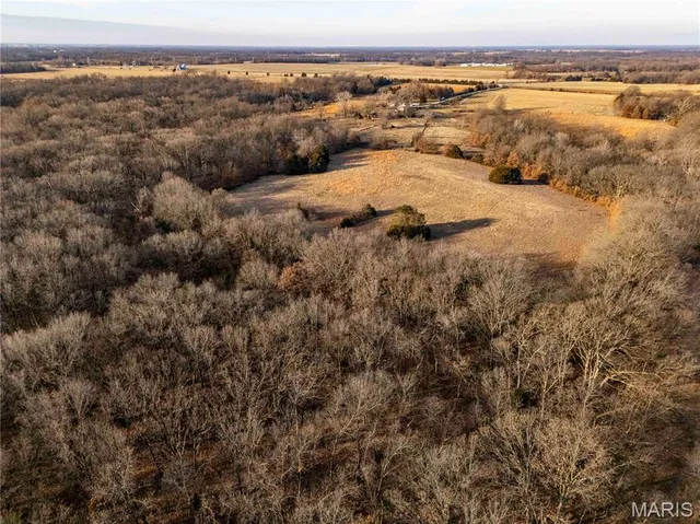 $1 | 0 Pike 49, Frankford, MO 63441