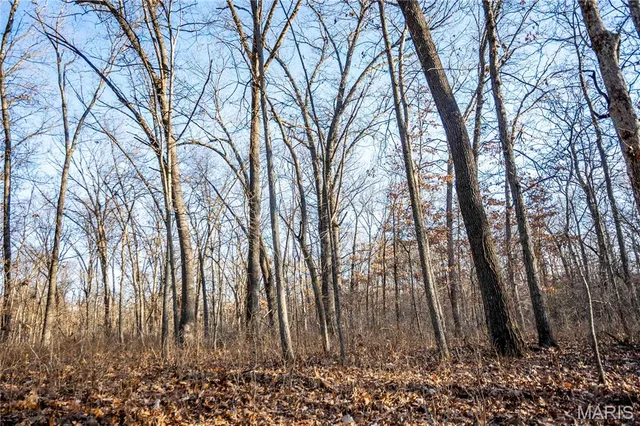 $1 | 0 Pike 49, Frankford, MO 63441