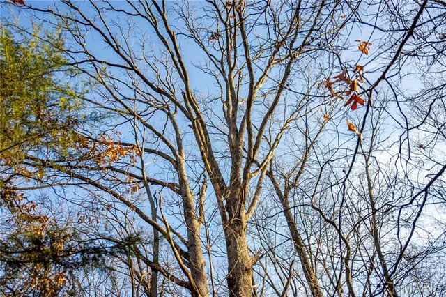 $1 | 0 Pike 49, Frankford, MO 63441