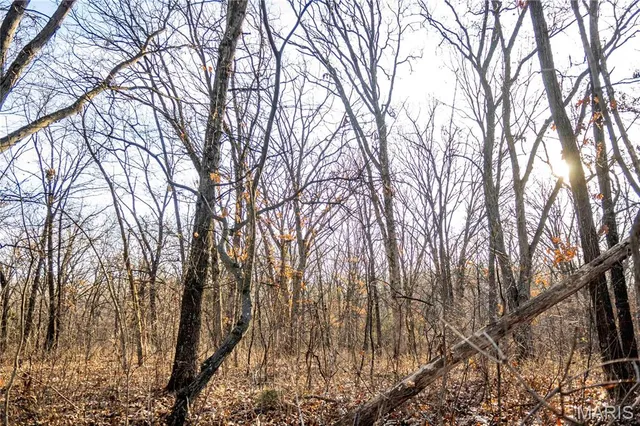 $1 | 0 Pike 49, Frankford, MO 63441