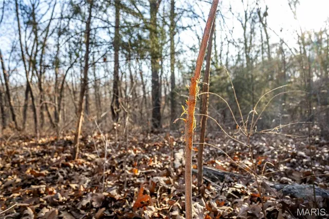 $1 | 0 Pike 49, Frankford, MO 63441