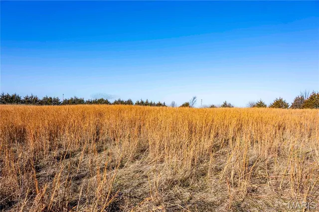 $1 | 0 Pike 49, Frankford, MO 63441