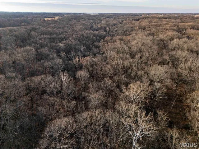 $1 | 0 Pike 49, Frankford, MO 63441