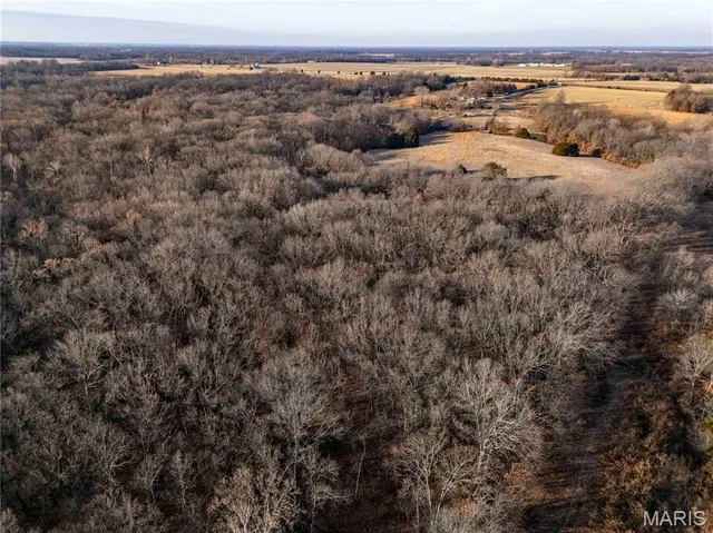 $1 | 0 Pike 49, Frankford, MO 63441