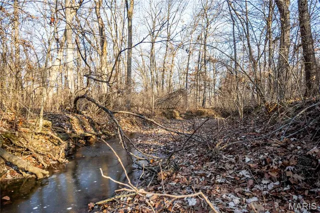 $1 | 0 Pike 49, Frankford, MO 63441