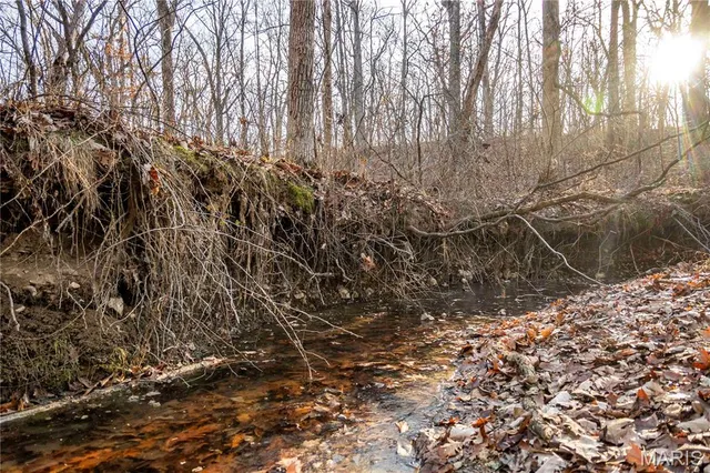 $1 | 0 Pike 49, Frankford, MO 63441