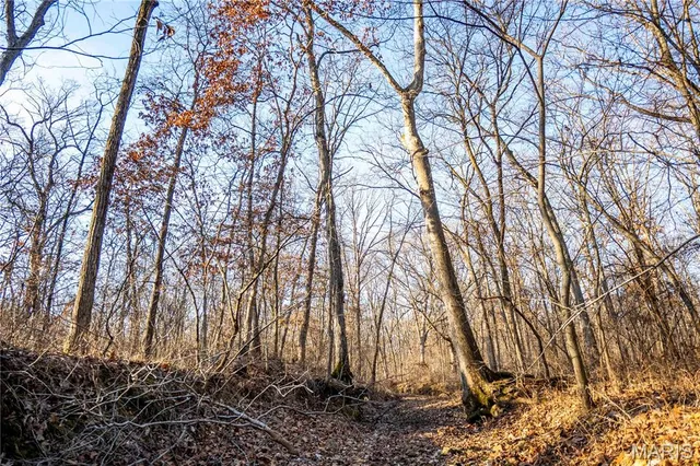 $1 | 0 Pike 49, Frankford, MO 63441