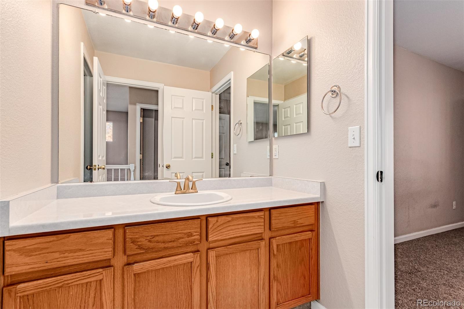 4538 South Atchison Way Aurora, CO 80015 - Photo 38 of 50 a bathroom with a sink and a mirror