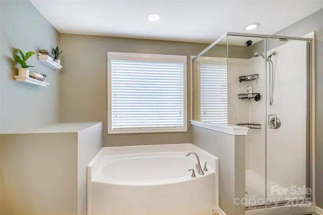a bathroom with a tub a sink and a shower