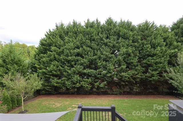a view of a yard with a tree