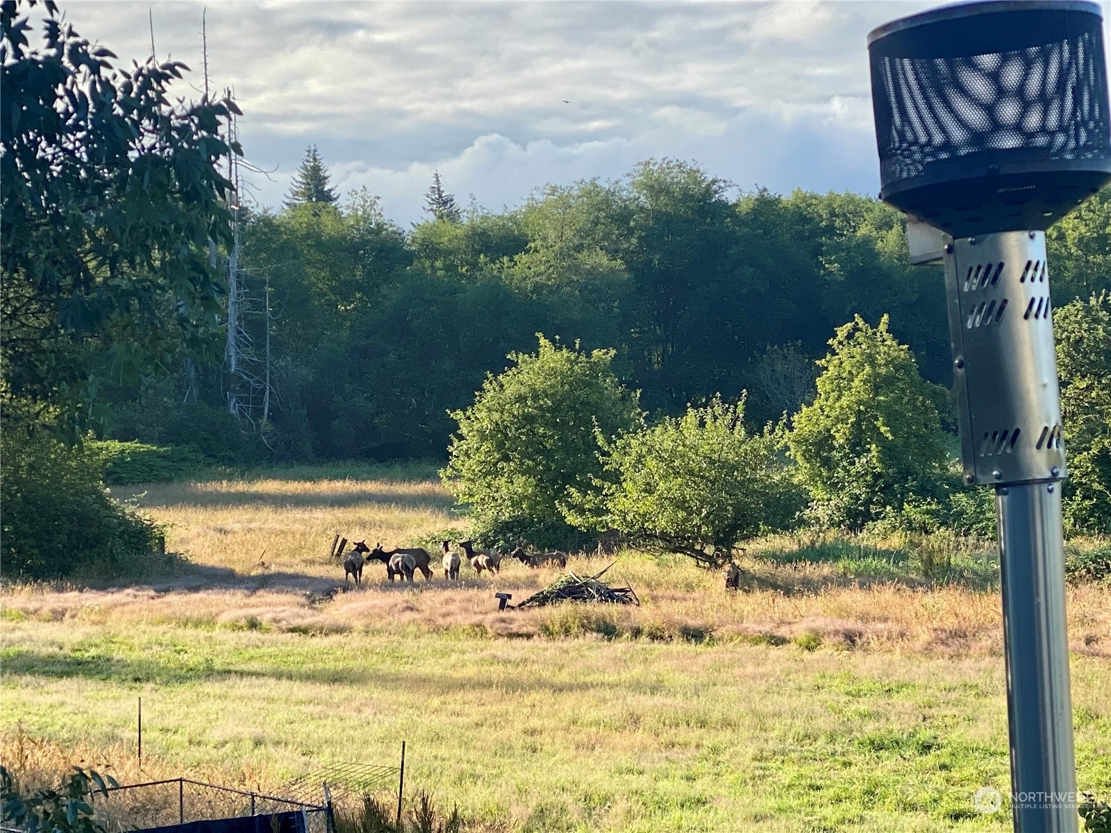 32 889 Elma, WA 98541 - Photo 28 of 29 a view of a lake with a yard
