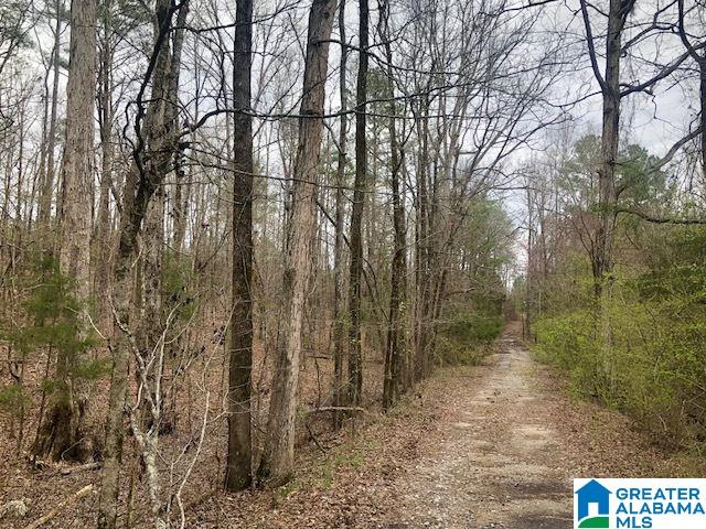 0 Stage Coach Road Alabaster, AL 35007 - Photo 1 of 6