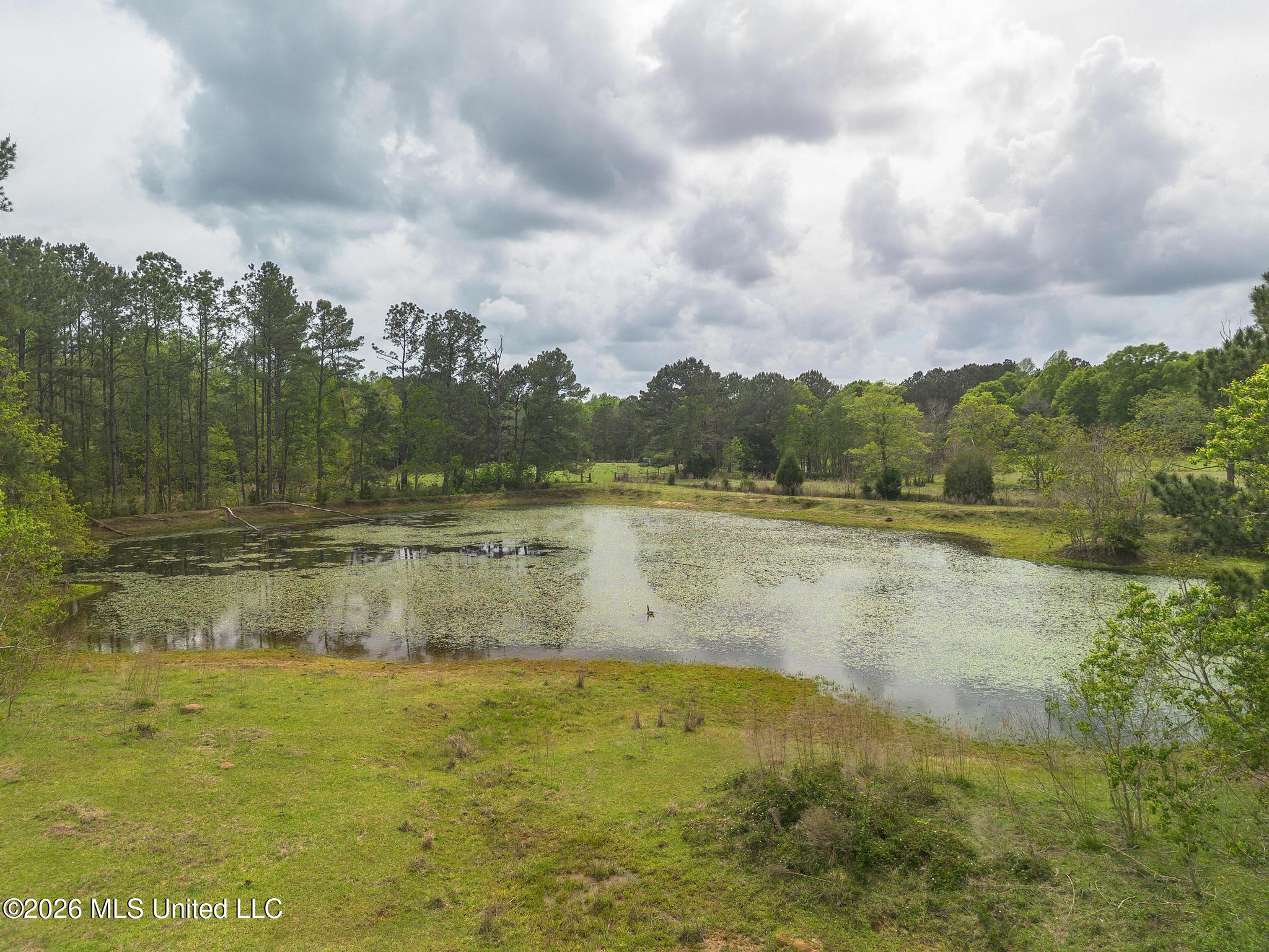 395 Fairley Road Lumberton, MS 39455 - Photo 11 of 33 DJI_0976