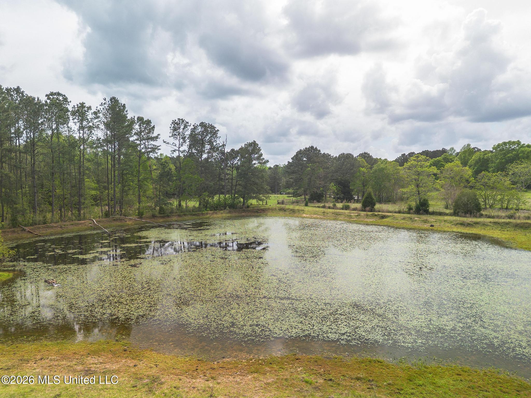 395 Fairley Road Lumberton, MS 39455 - Photo 12 of 33 DJI_0978