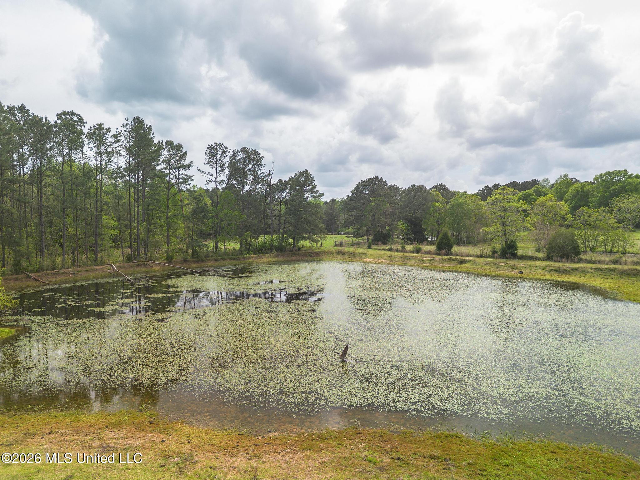 395 Fairley Road Lumberton, MS 39455 - Photo 7 of 33 DJI_0977