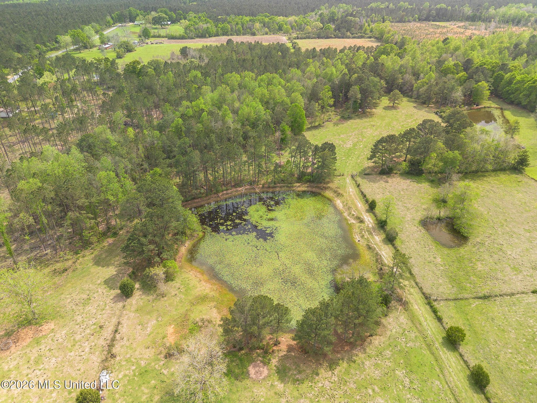 395 Fairley Road Lumberton, MS 39455 - Photo 9 of 33 DJI_0974