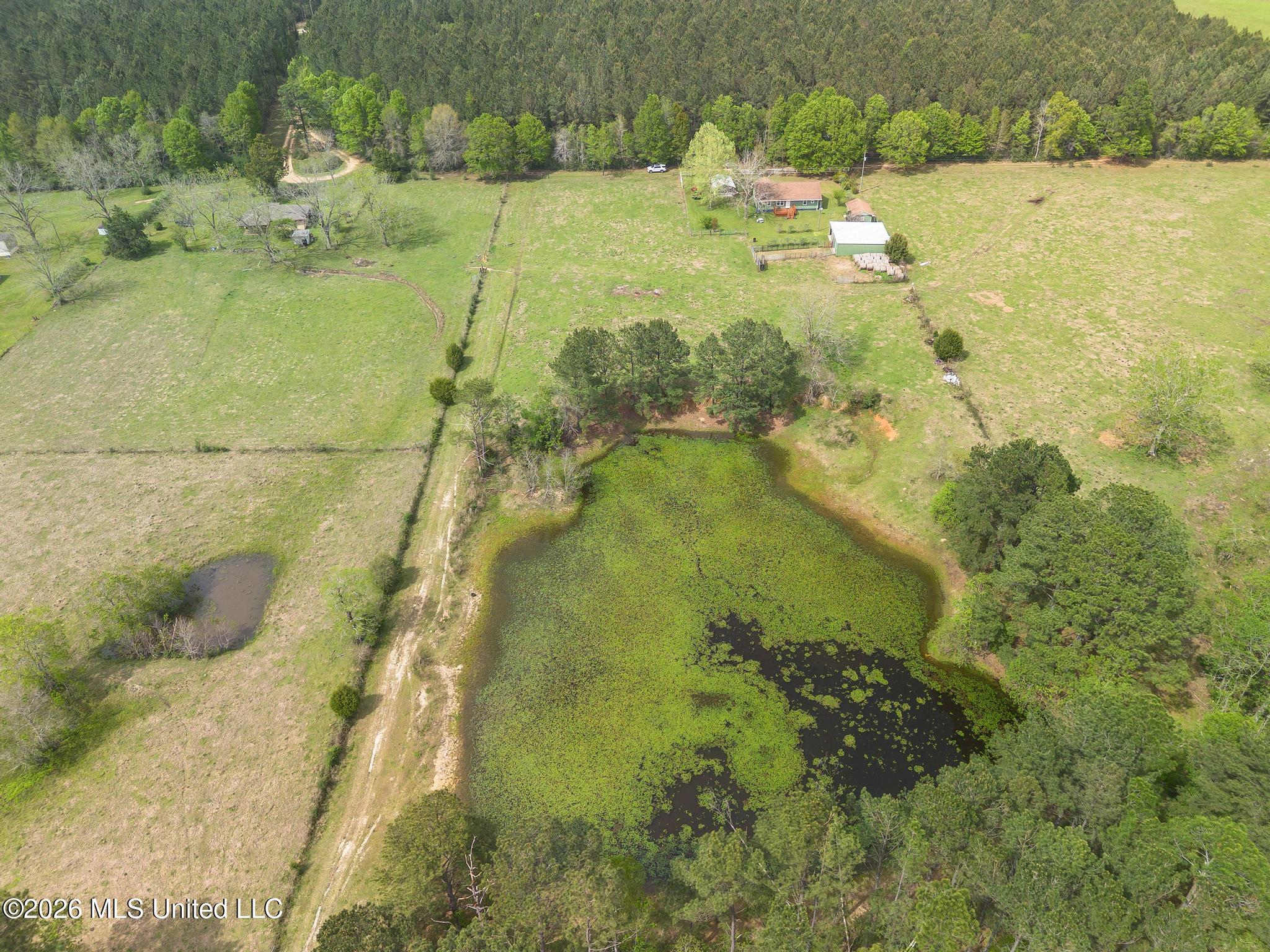 395 Fairley Road Lumberton, MS 39455 - Photo 10 of 33 DJI_0975