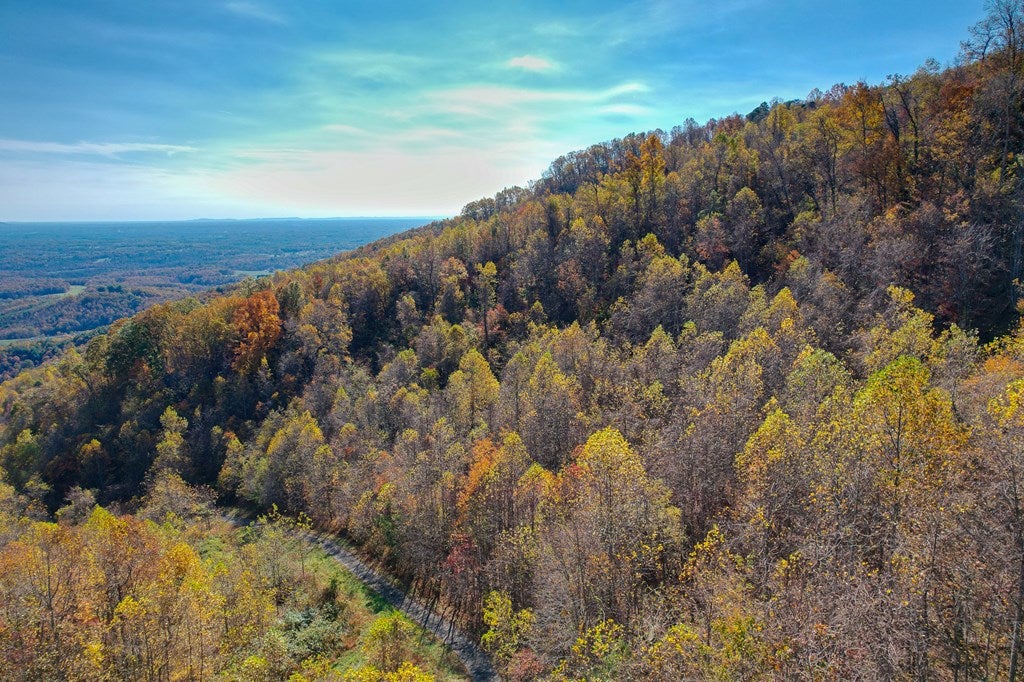 Tbd Tbd Spring Valley Road Fancy Gap, VA 24328 - Photo 15 of 27 Gallery Image 15