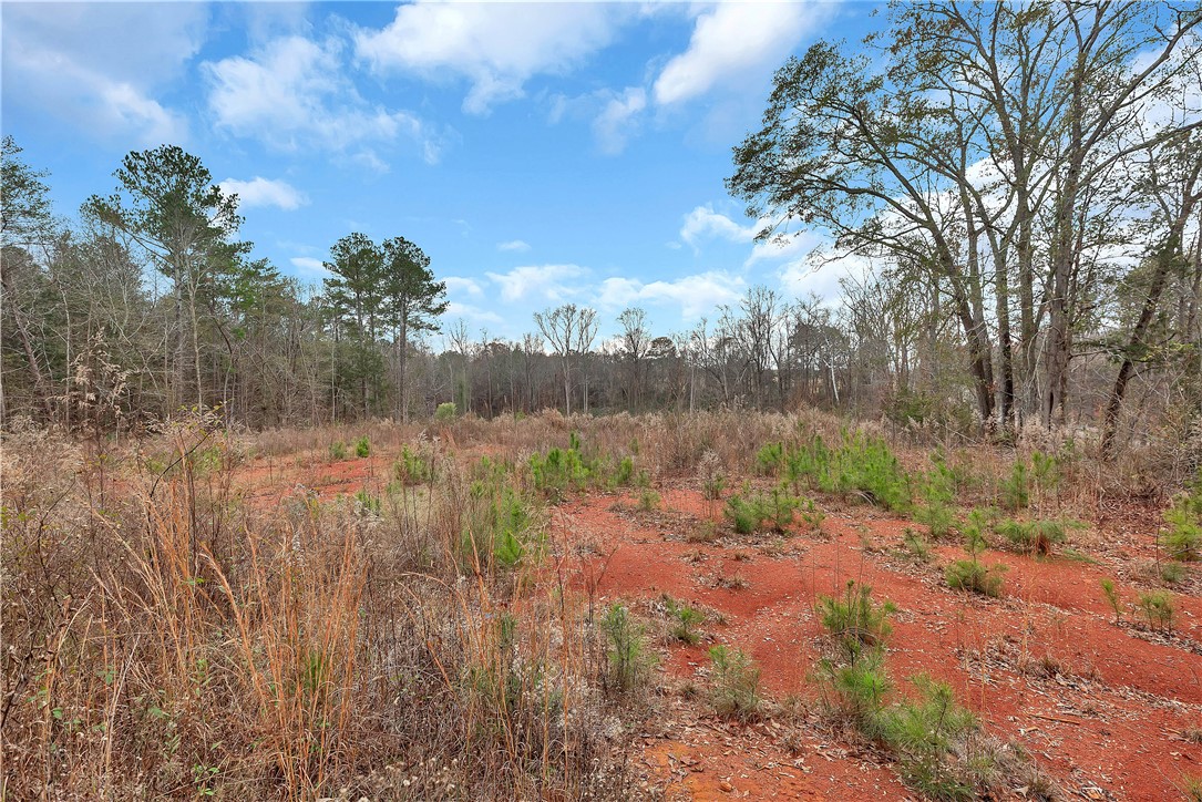 0 Highway 29 South Anderson Sc 29626 Anderson, SC 29626 - Photo 11 of 22
