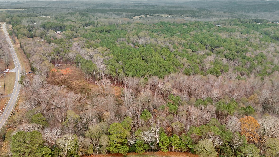 0 Highway 29 South Anderson Sc 29626 Anderson, SC 29626 - Photo 14 of 22